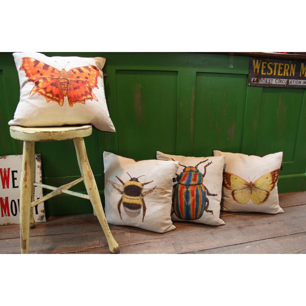 Welsh insect cushions