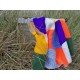 Summer sunshine for all year round KT01 Summer sunshine for all year round KT01