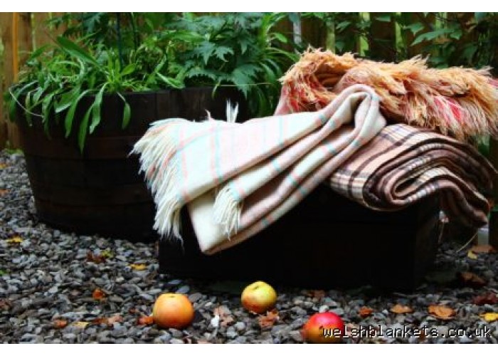Teifi Valley plaid Buff & Cream with Bitter Chocolate nL122 Teifi Valley plaid Buff & Cream with Bitter Chocolate nL122