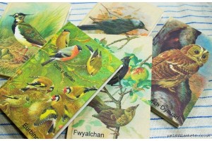 Bird notebooks. 