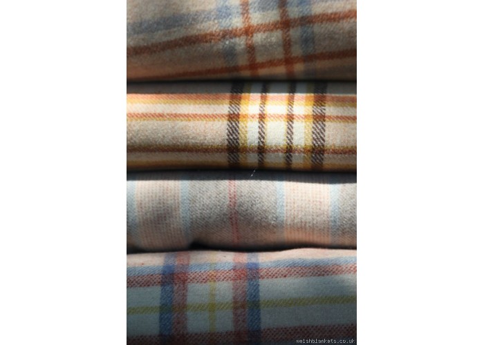 Early Twentieth century plaid NL78